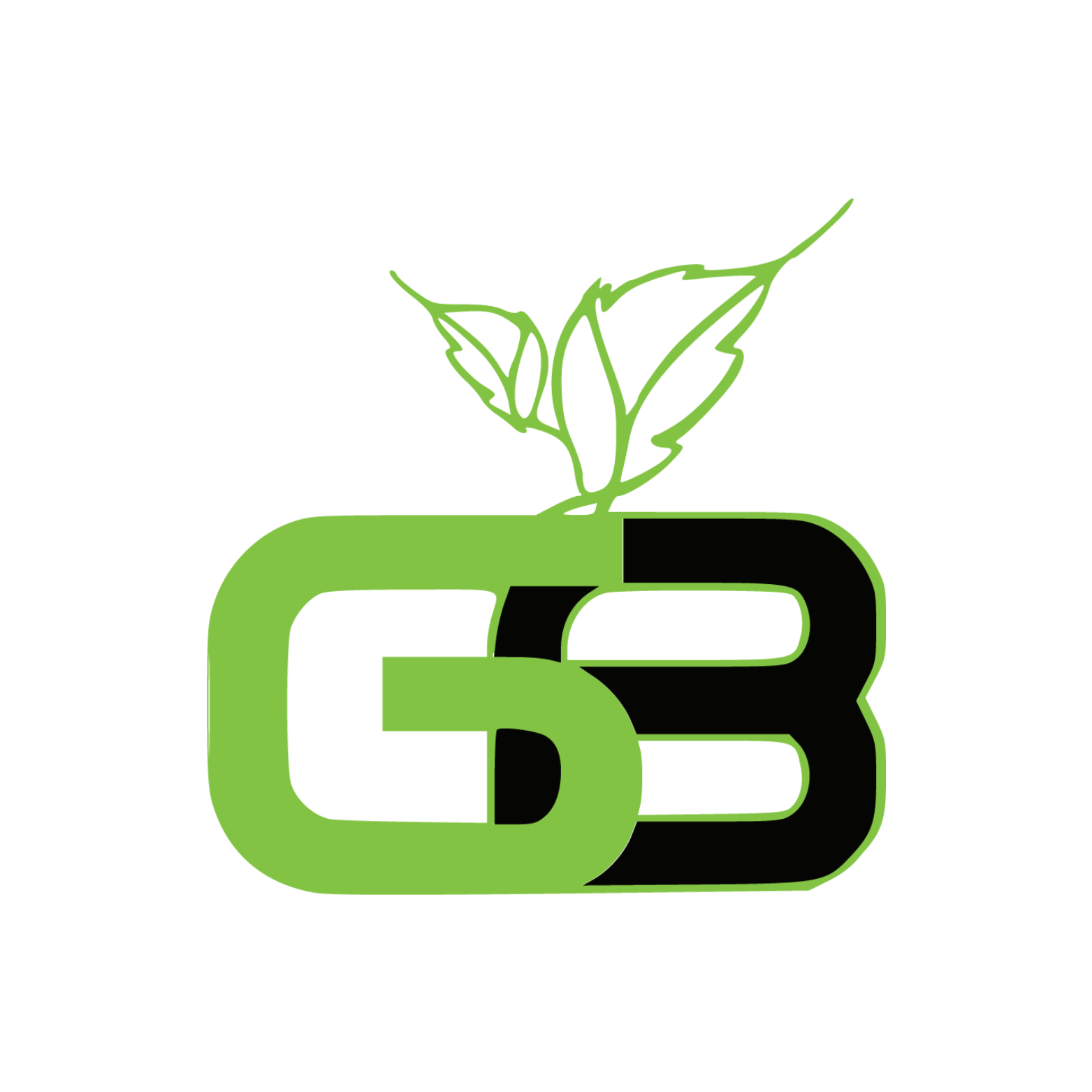 En. Man Laptop Repair